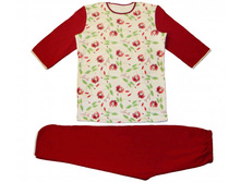 ������ �������   ��� ������: 2493