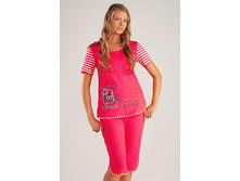 ������ �������   ��� ������: 2799