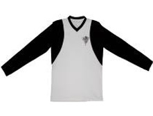 ������� �������   ��� ������: 2743