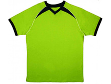 ������� �������   ��� ������: 1850