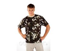 ������� �������   ��� ������: 2696