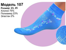 ����� �������   ��� ������: 0107