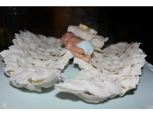 ������ �����.jpg