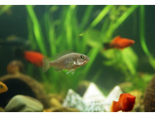 15 ������� 2010