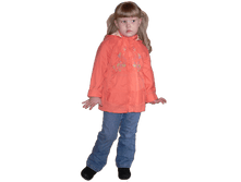 art.093-D. ������ �����.png