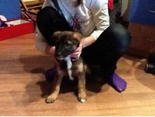 ������ 2012 094.jpg