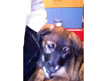 ������ 2012 061.jpg