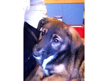 ������ 2012 065.jpg