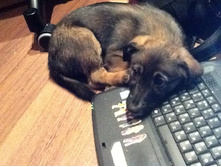 ������ 2012 071.jpg