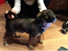 ������ 2012 072.jpg