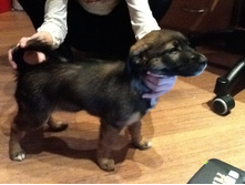 ������ 2012 073.jpg