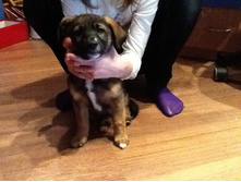 ������ 2012 087.jpg