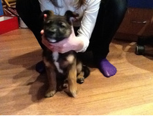 ������ 2012 088.jpg