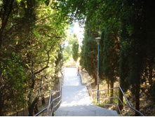 �� ���� ������������� �������� �� ������ ������ ���� �� ���� � �������:)