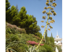 ��������� �����������