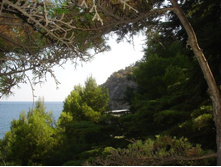 ��������� �����������