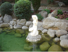 ��������� �����������