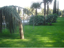 ��������� �����������