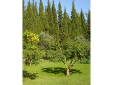 ��������� �����������