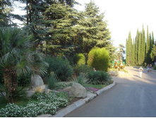 ��������� �����������