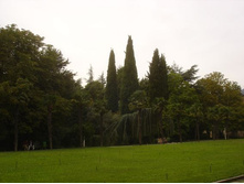 ��������� ����