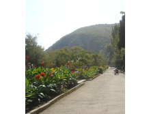 ��������� ����