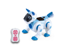 725� �������-�����, � ���� ������ �� ������ �������������� ����������. ���������� �� ������� � 3 ���. ������� �����������. �� ����� �������� ���������� �������, ������ ����� � ������ ��������. ��� ������������ � ������������� ��������������� � ��������� �