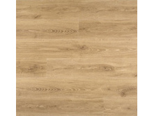 ABF004 �������.  436���. �� �.��.+%