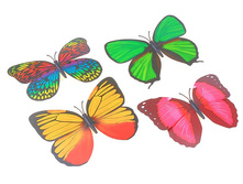 24,00 �� 4��