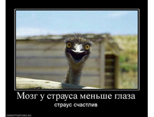 17.02.2010 23:58:34
