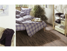 PRIME LINE 31�����. 236���.�� �.��.+%