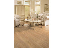 2413 ��� ������� - ��������.