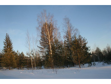 18.02.2010 2:27:05