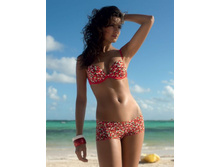 WDLS/WH091106 Amarena