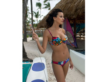 WDLS 231103 Calendula