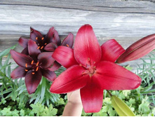 ����� ������....