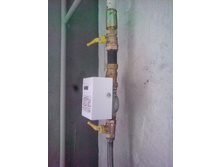 ��� ������