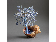 ������� ������ - �������