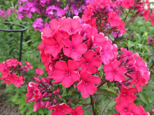 ���������.