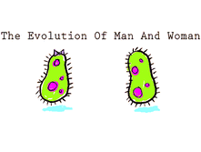 1147342759_1147342163_evolution