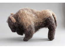 ���� ���� - �������