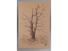 �������������� ������ - �������