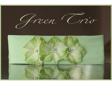 ��������� �� ������ \"Green Trio\"....350���