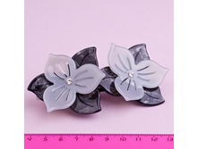 ������� ����, 259 ���..jpg