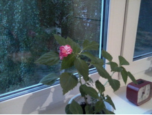 P05-09-13_19.03.jpg