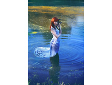 ������ ����