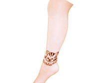 �������� ������� ���������� � ������� (AA1, ����� � ������������).137,0