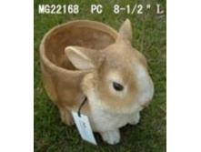 MG22168_����� ������