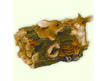 ��07023_����� ����� �� ������