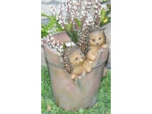 �7037_����� ����� � ��������